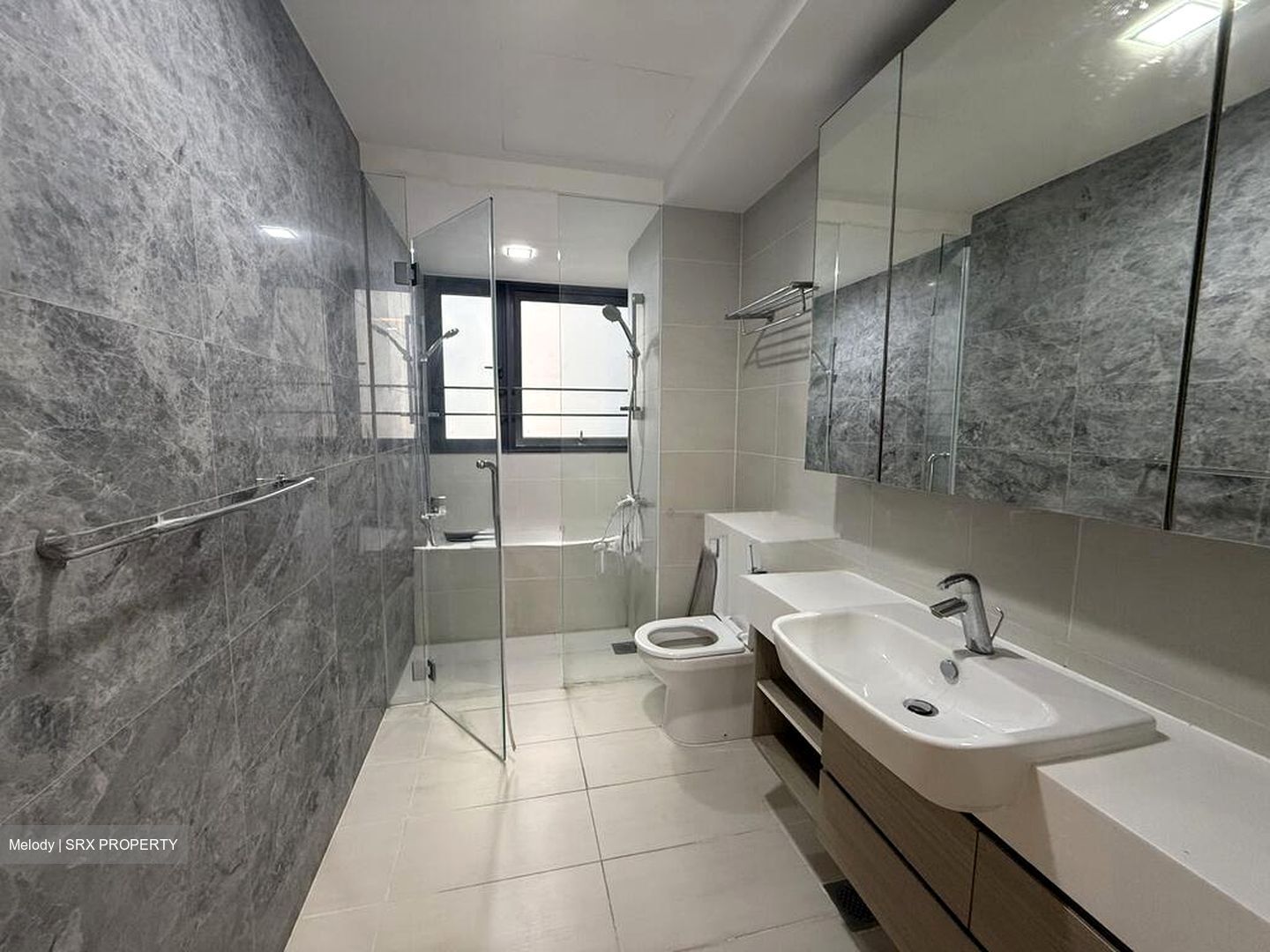 The Lakefront Residences (D22), Condominium #509253361